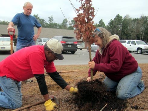 Volunteer Rusty Weenink observes as Master Gardeners Les Chambers and Stacey Taylor plant a Southern sugar maple on the county extension office grounds.