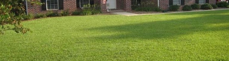 Pay attention to fertilizer analysis percentages when preparing lawns for winter, esepcially when it comes to the amounts of potassium and nitrogen. [SPECIAL TO THE NEWS BULLETIN]