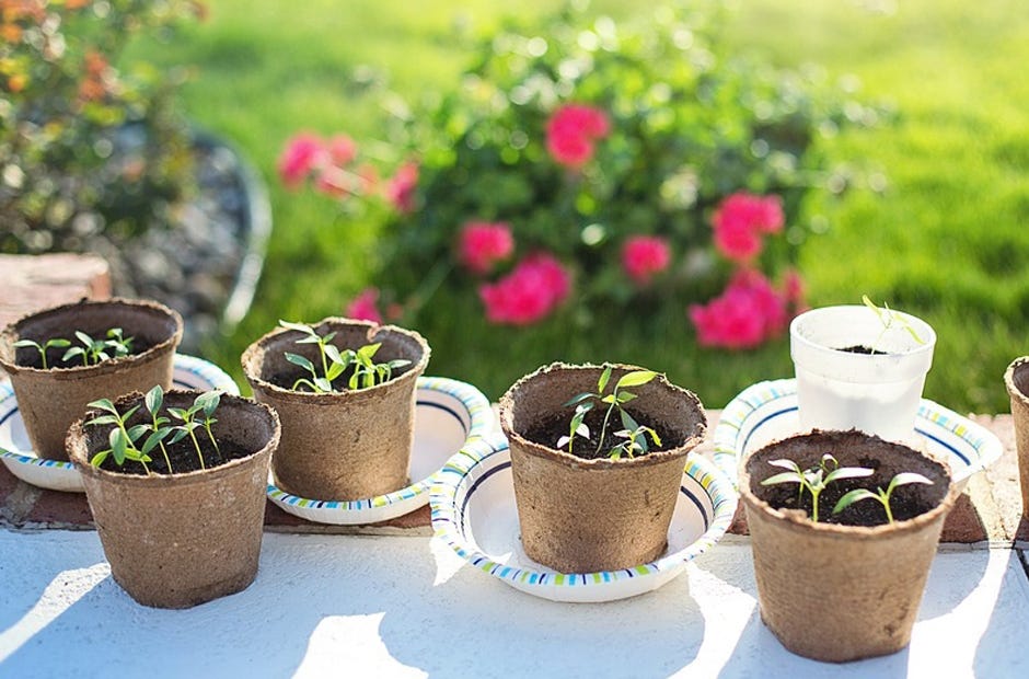 The Dogwood Garden Club meetings include programs on various topics. [PIXABAY.COM]