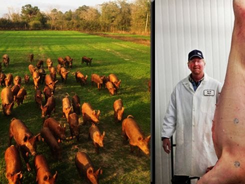 Laurel Hill hog farmer Mark Fortune stands next to one of his Heritage Tamworth pigs that is ready for butchering. At left, A herd of Fortune's free-range Heritage Tamworth pigs runs unfettered on his Big Creek Farm in Laurel Hill.