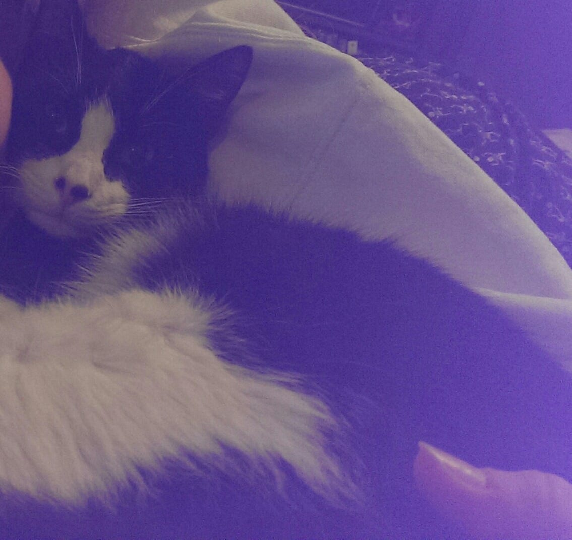 [MARK CHAFFINS/CONTRIBUTED PHOTO]