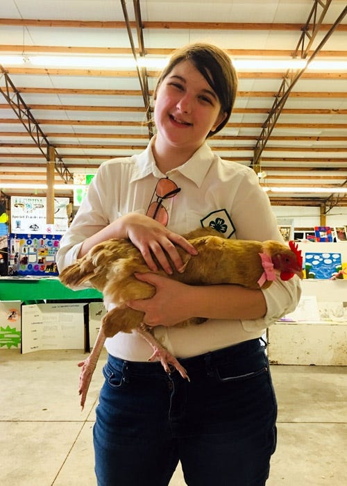 Mikayla Clark of Okaloosa County holds her chicken during the Northwest Florida Fair. [SPECIAL TO THE NEWS BULLETIN]
