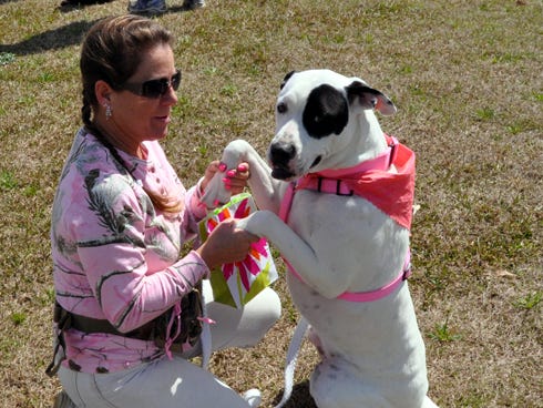 Becky Davidson plays with her American bulldog, Bella, Saturday at the 2013 Bark For Life in Baker. The event raised $600 for the American Cancer Society.
