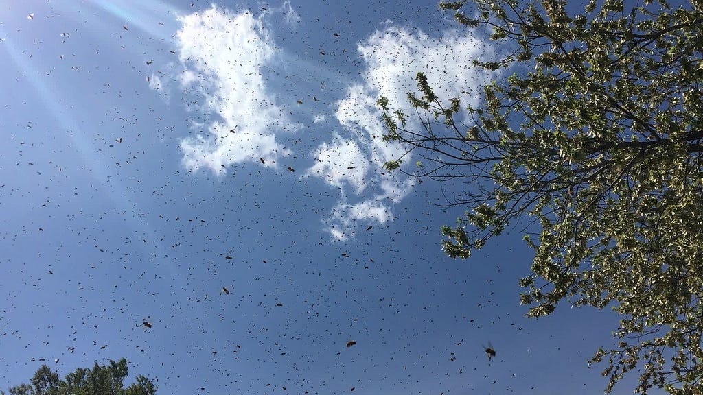 [ OAKLEYORIGINALS / FLICKR via CC license ]