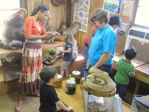 Kids and adults learn about local critters and historic industries through displays in the McMahon Environmental Center’s museum.