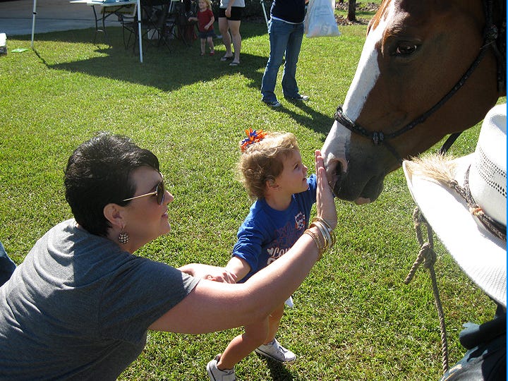 Under the watchful eye of her mother, Jenni Perkins, Avery Perkins-Ward, 2, pats the nose of an Okaloosa County Sheriff's Office Posse horse.