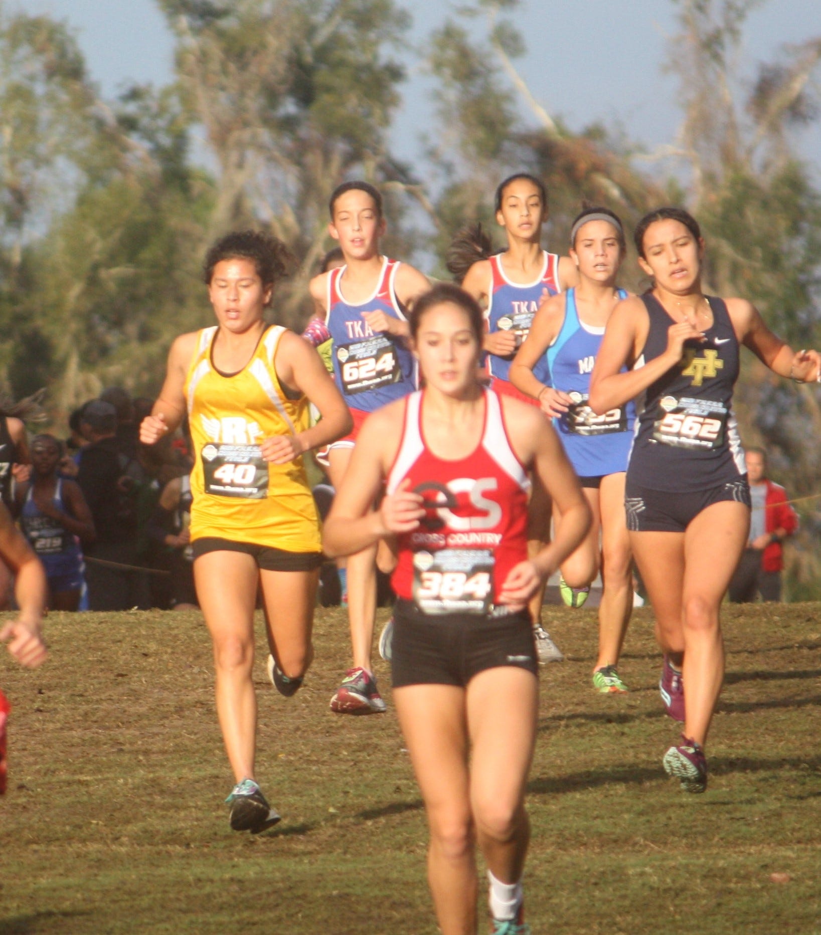 A Baker runner competes in a cross country meet during the 2019 season. [CONTRIBUTED PHOTO]