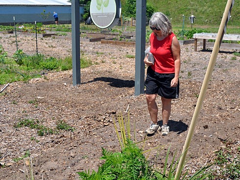 Okaloosa Master Gardener Stacey Taylor tamps down dirt over newly planted seeds Friday at the Common Ground Community Garden off Main Street. Gardeners planted sorghum, buckwheat and flower seeds to encourage pollinators and deter garden pests.