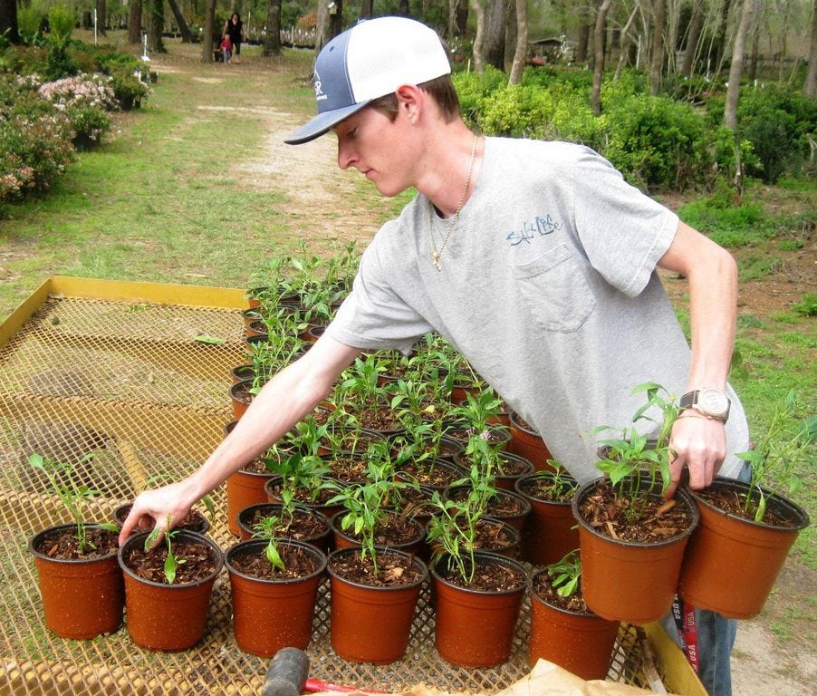 Laurel Hill School senior Dakota Steele loads potted plants on a flatbed trailer during his after-school job at Crestview Nurseries. Dakota says he feels right at home working among the plants, as he also helps his grandmother with her home gardening.