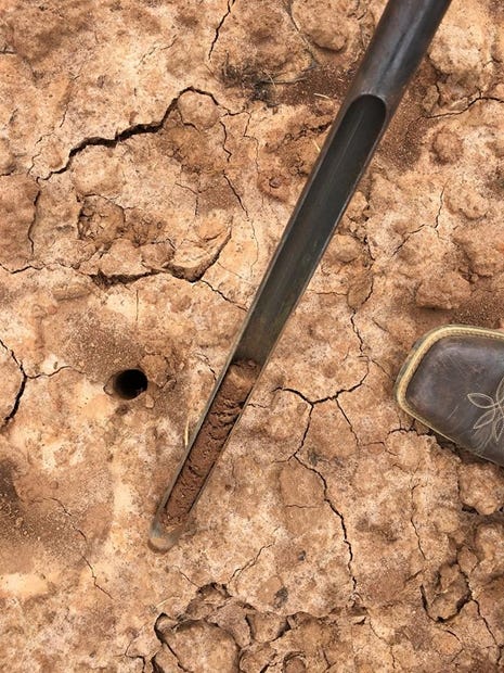 When using a soil probe, take 10-20 subsamples from the soil for testing. [CONTRIBUTED PHOTO]