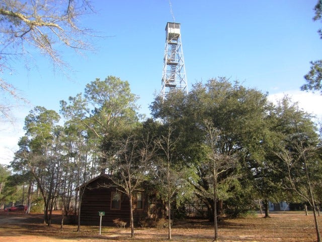 A museum and education building might replace this forestry tower and abandoned ranger's house at the John McMahon Environmental Center in Crestview if park improvement suggestions are accepted.