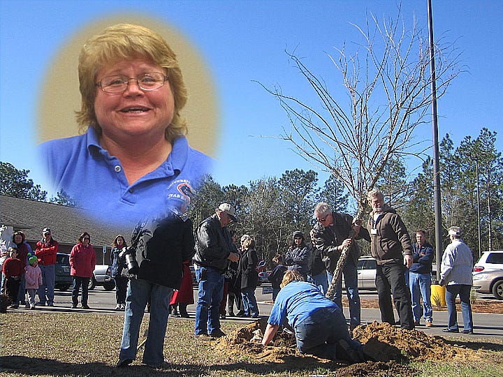 County extension horticultural agent Sheila Dunning, inset, will present a local Arbor Day tree planting seminar Jan. 21. Last year's event included a tree-planting demonstration.