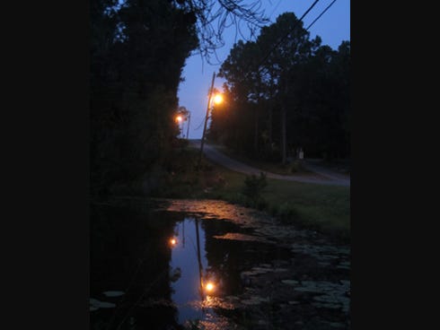 North Crestview streetlights reflect in a roadside pond on a recent morning. A Public Works survey found more than 1,700 streetlights in the city, but the city is billed for hundreds more.