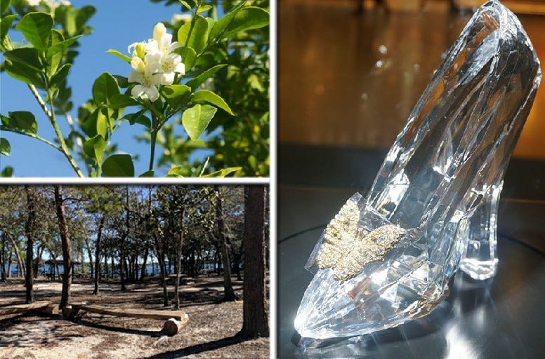 Need something to do this week? Check out these fun events. [SPECIAL TO THE NEWS BULLETIN]