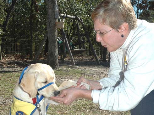 Marietta Birdsell, a volunteer puppy raiser for Canine Companions for Independence, shakes the paw of Couley, one of 10 puppies she has raised.