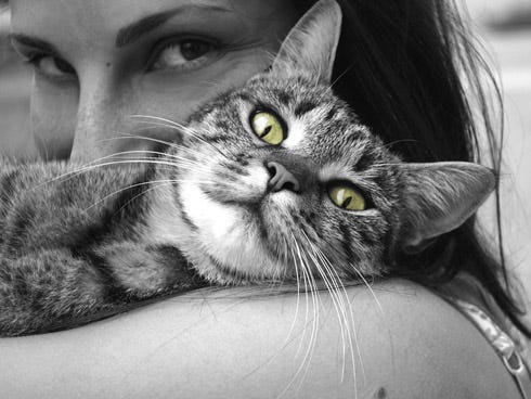 Many people love their pets and will often go to great lengths to ensure their health and well-being.