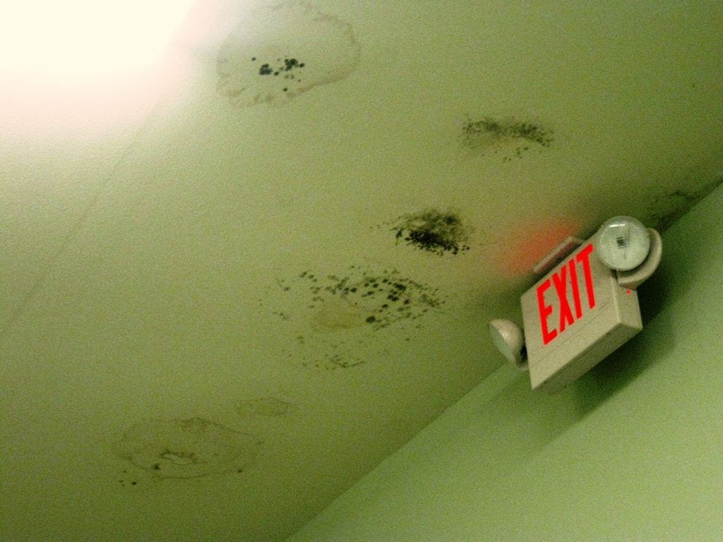 Water marks and mold from a leaking roof stain in the council chamber ceiling in Laurel Hill City Hall. An April 14 workshop will address preparing bid specifications to fix the roof.