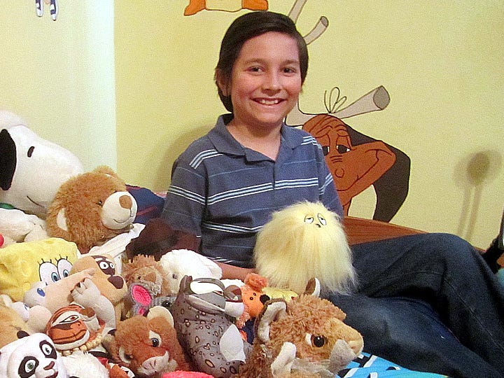 Crestview resident Michael Skinner clutches a stuffed Shagg E. Dawg toy, the latest addition to his collection of 44 plush animals. The comic strip "Ask Shagg" featured the 10-year-old's question about animal life in the Northwest Florida Daily News' Dec. 8 edition.