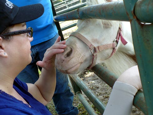 Crestview resident Melissa Thorner strokes the nose of Pegasus, a miniature horse, during a recent visit to Safe Haven Horse Rescue Center in Laurel Hill. Thorner — who is recovering from a double mastectomy — found visiting with Safe Haven’s horses to be therapeutic.