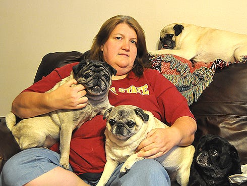 The pugs' popularity has led to a one-year endorsement deal with Getpetbox.com, according to owner Amy Forehand.