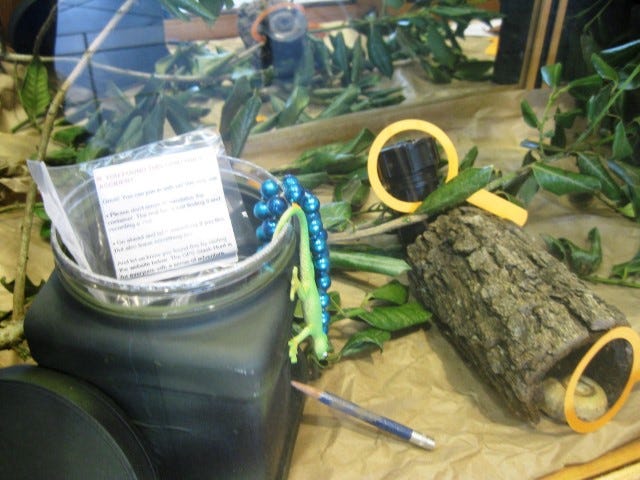 Geocaches can sometimes be tricky to find, such as the fake log on the right in this geocaching exhibit currently at the Crestview Public Library.