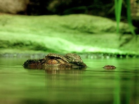 Being inattentive to your children is like giving them as a gift to a predator lying in wait. "Gang leaders, drug pushers and sexual predators recognize the signs of such children and exploit them. These people recognize the symptoms and provide a façade of loving and caring. And a child craving being loved and accepted is then swayed to “the dark side."