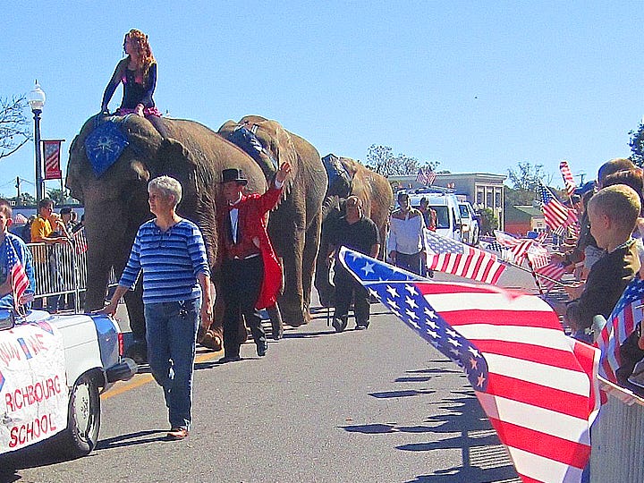 Elephants from the Loomis Bros. Circus — pictured on Main Street during last year's Veterans Day parade — will be in this year's Nov. 11 parade.