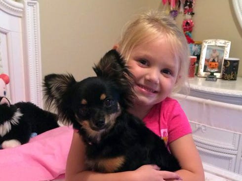 Stella Carr, 4 — pictured with Chi-Chi, her chihuahua — doesn't want birthday presents when she turns 5 on Feb. 28. 
Instead, she wants residents to show some love to the Panhandle Animal Welfare Society.