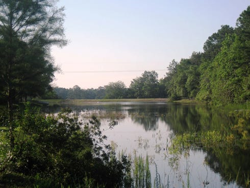 Repair of Grandview Pond's dam has allowed water flowing in from springs and a creek to start refilling the pond more than a year after the dam breached in an April 2014 storm.
