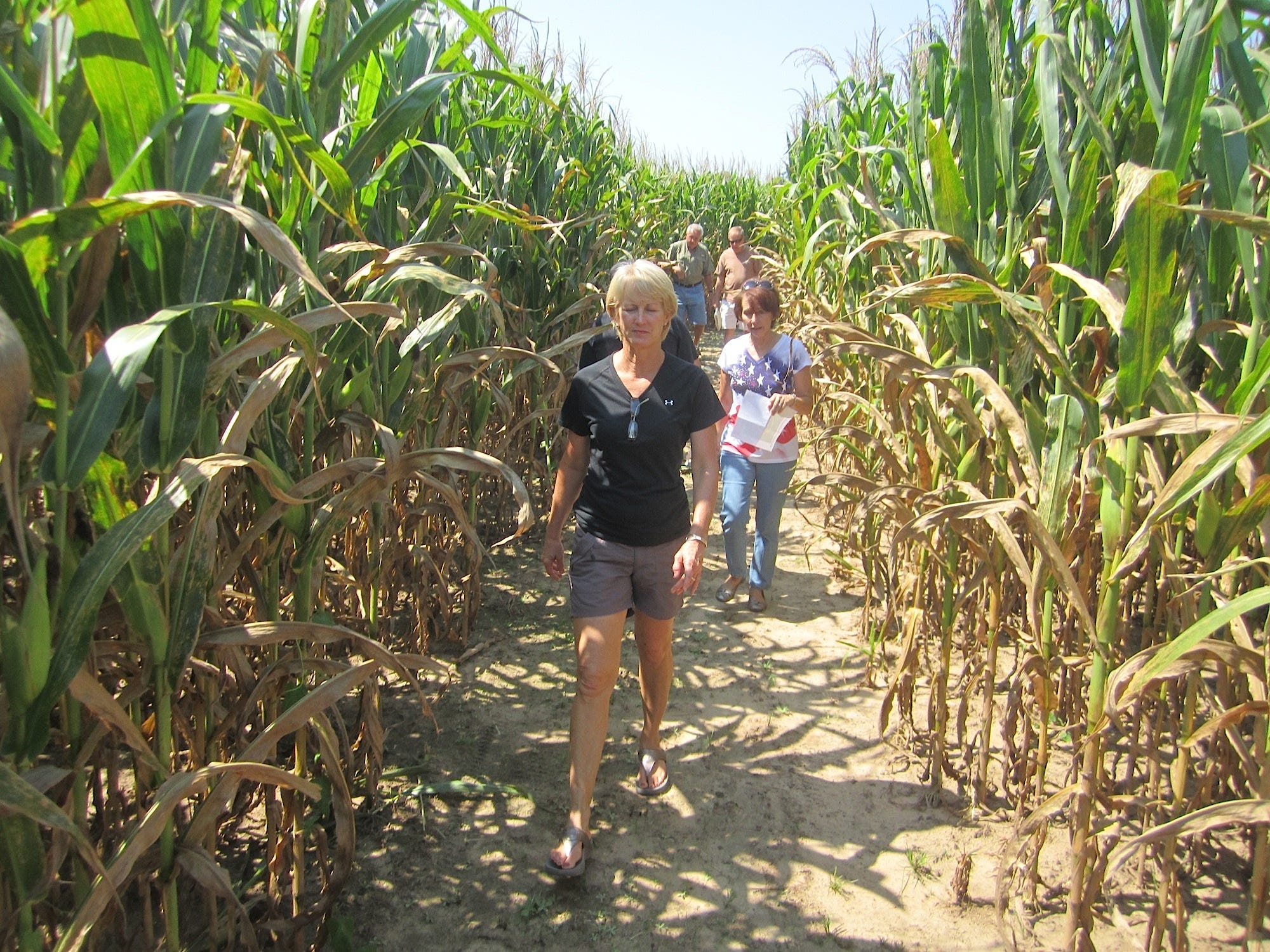 Kim Scheid leads her fellow Rotary Club members through the Baker Corn Maze, which opens Oct. 6.