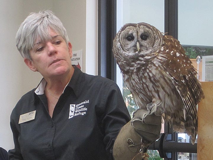 Emerald Coast Wildlife Refuge assistant director Susan Leveille displays animal ambassador April, a barred owl. April's right wing was amputated after a truck struck her on Interstate 10.