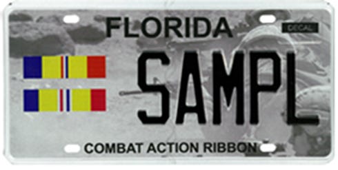 This is one of six new military license plates available at Okaloosa County Tax Collector offices.