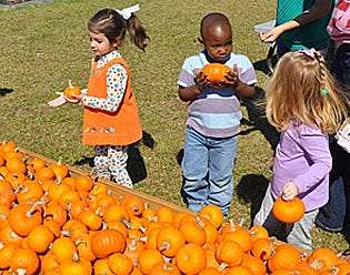Children from Wesley Academy's pre-kindergarten class eye a pile of small pumpkins at St. Mark United Methodist Church’s pumpkin patch in Crestview.