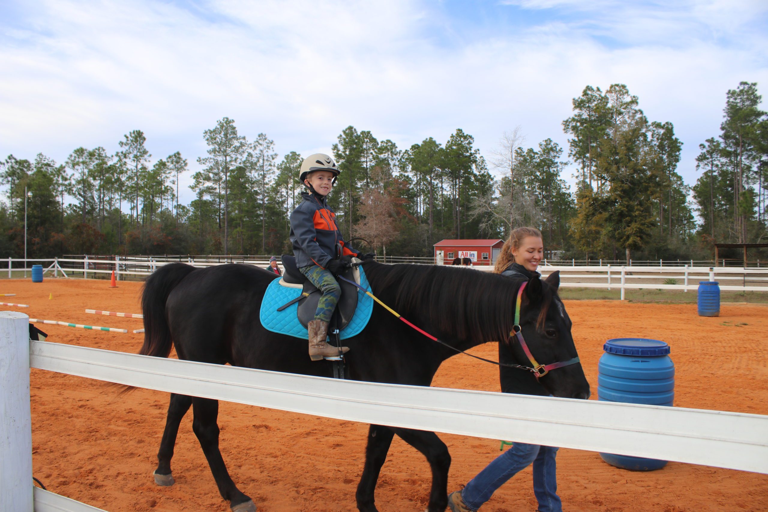 Healing Hoof Steps makes horse sense Crestview News Bulletin